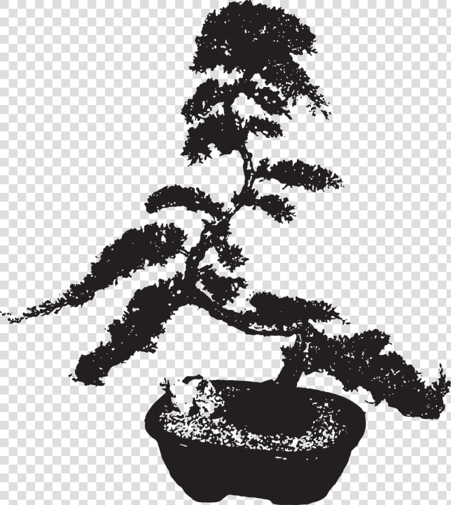 Sageretia Theezans  HD Png DownloadTransparent PNG