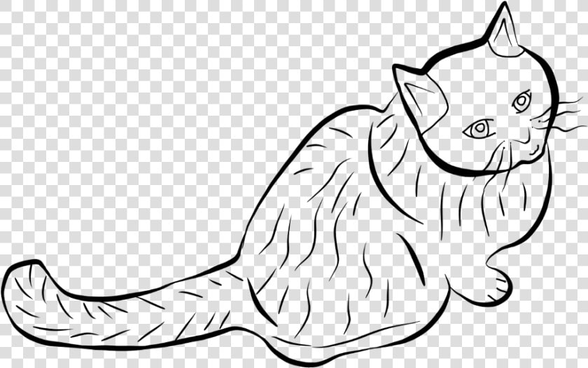  freetoedit  cat  outline  mydraw  draw  drawing  sketch   European Shorthair  HD Png DownloadTransparent PNG