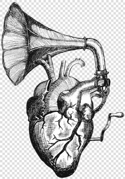 Heart Sounds Drawing Tattoo Anatomy   Let Your Heart Be Heard  HD Png DownloadTransparent PNG
