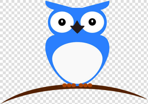 Owl wing artwork  HD Png DownloadTransparent PNG