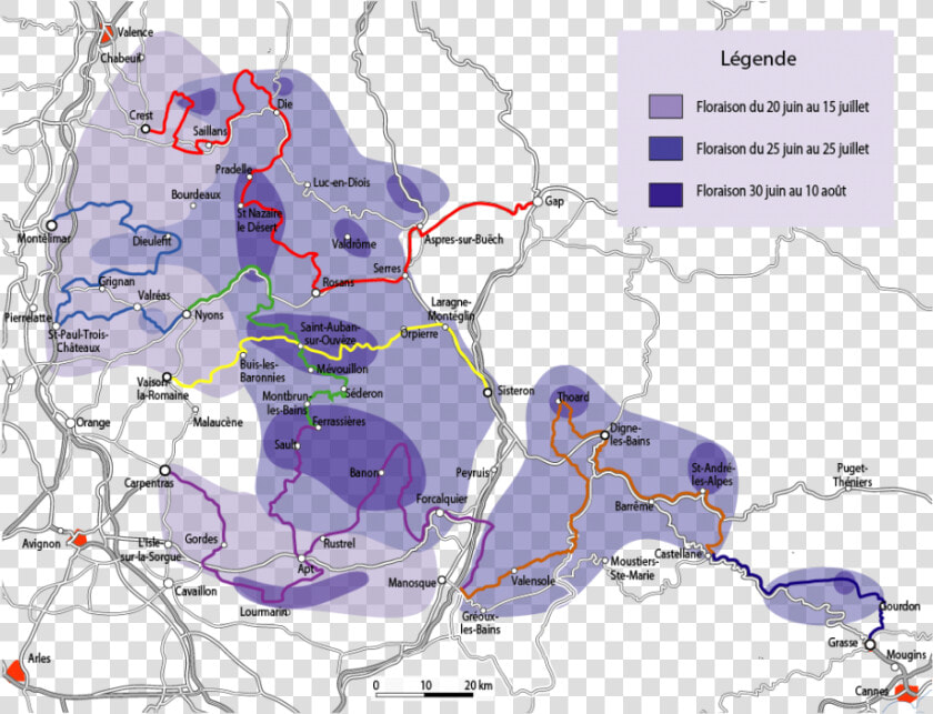 When And Where Does Lavender Bloom In Provence   Lavender Route Provence Map  HD Png DownloadTransparent PNG
