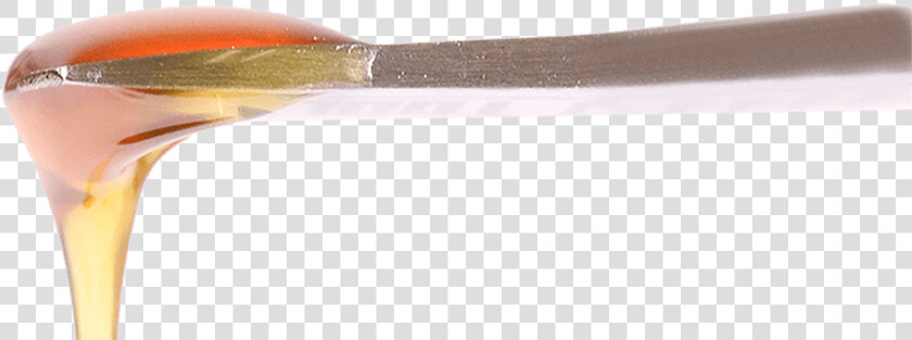 Rosin   Insect  HD Png DownloadTransparent PNG