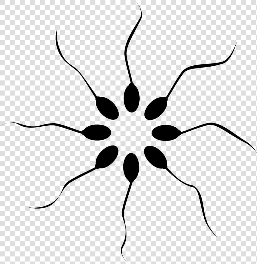 Reproduction Clipart  HD Png DownloadTransparent PNG