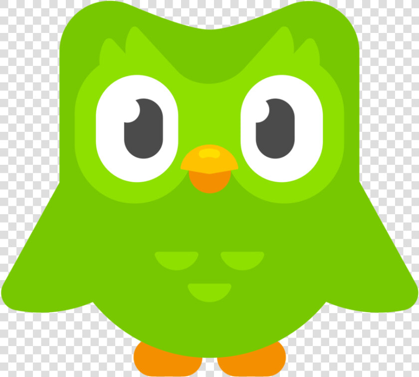 Duo   Nobg   Duolingo Transparent  HD Png DownloadTransparent PNG
