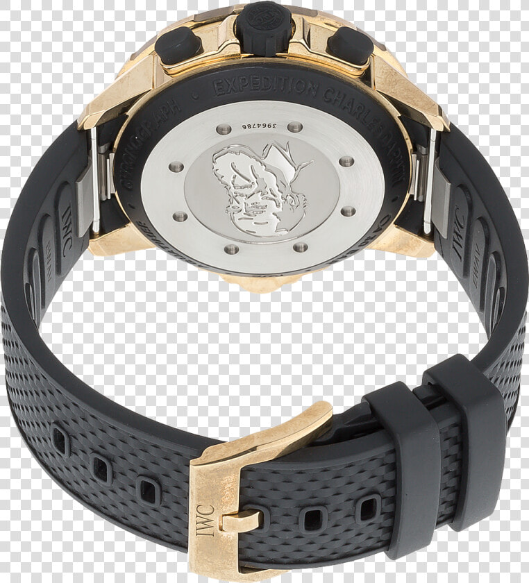 Aquatimer Chronograph Expedition Charles Darwin Bronze   Analog Watch  HD Png DownloadTransparent PNG