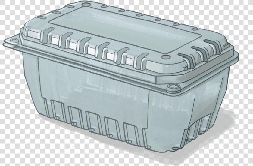 Clamshell Uva  HD Png DownloadTransparent PNG