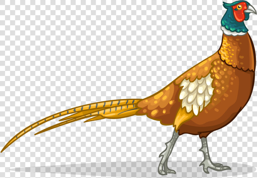Pheasant Icon Clipart   Png Download   Golden Pheasant Bird Clipart  Transparent PngTransparent PNG