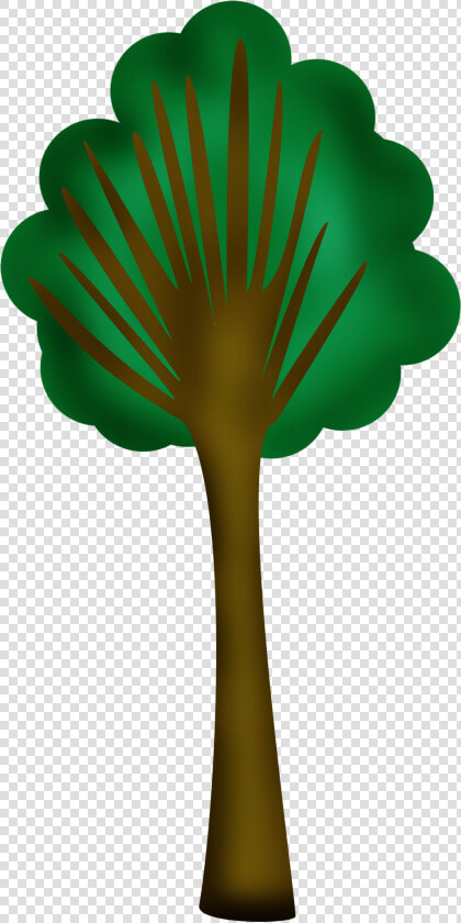 Sabal Minor   Png Download   Sabal Minor  Transparent PngTransparent PNG