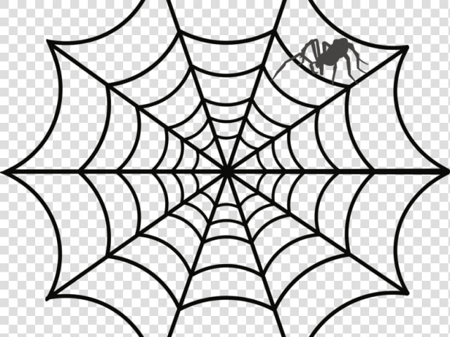 Drawn Spider Funnel Web   Spider Web Clipart  HD Png DownloadTransparent PNG