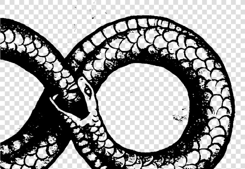 Ouroboros Transparent Png Crop   Snake In 8 Shape  Png DownloadTransparent PNG