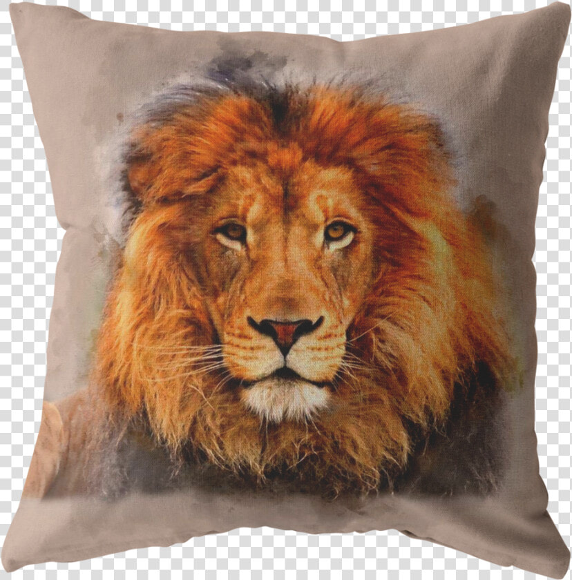 Lion Watch Pillows   Jolie Lion  HD Png DownloadTransparent PNG
