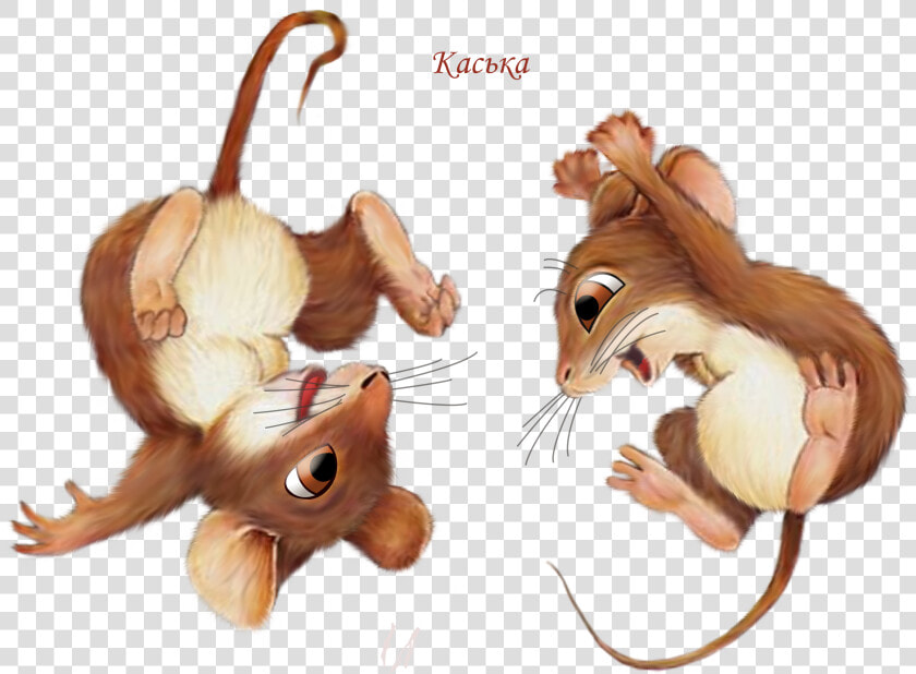 Mice Happy Flips  HD Png DownloadTransparent PNG