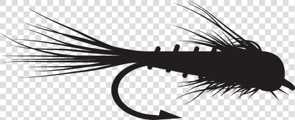 Fly Fishing Fly Icon  HD Png DownloadTransparent PNG