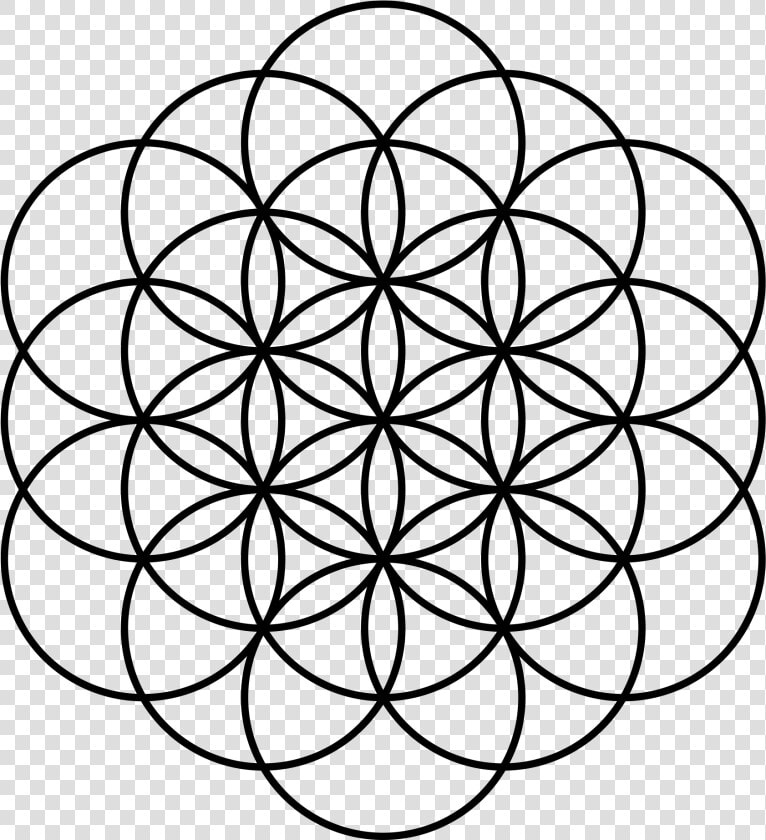 Coldplay A Head Full Of Dreams Png   Png Download   Flower Of Life 19 Circles  Transparent PngTransparent PNG