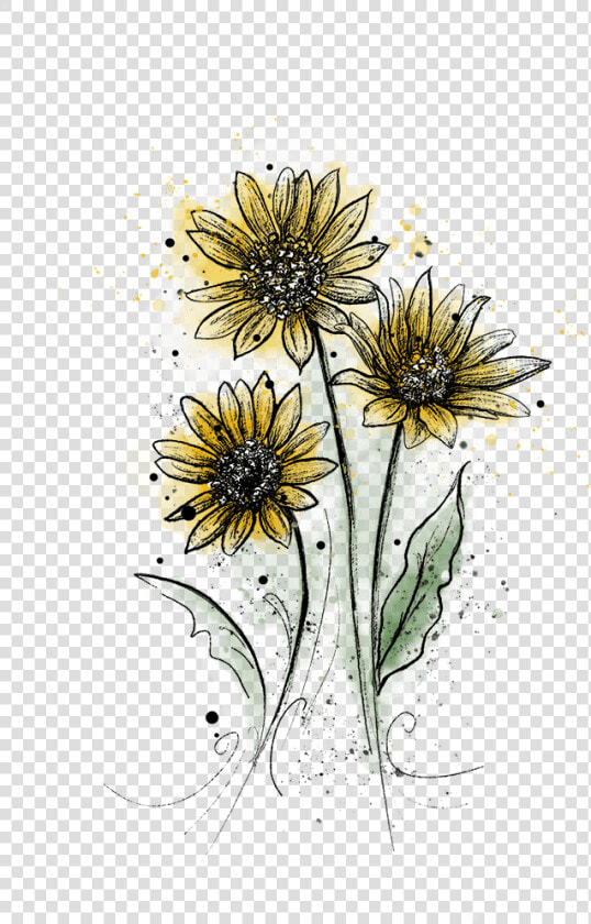 Black eyed Susan  HD Png DownloadTransparent PNG