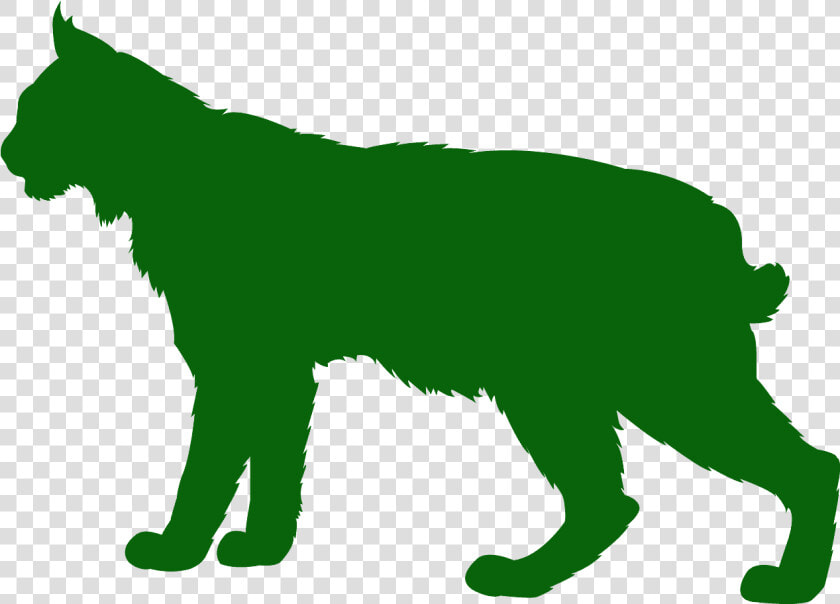 Bobcat Silhouette Clip Art  HD Png DownloadTransparent PNG
