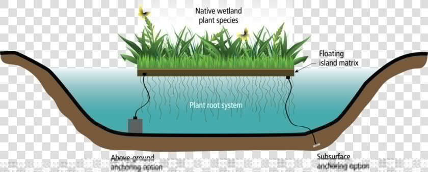 Wetlands Drawing Grass  HD Png DownloadTransparent PNG