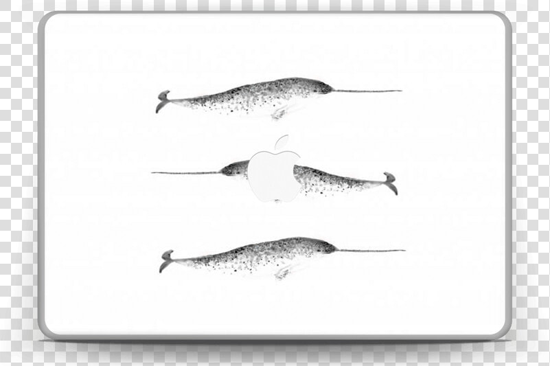 Narwhale Skin Macbook Pro 13”   Long Nose Gar  HD Png DownloadTransparent PNG