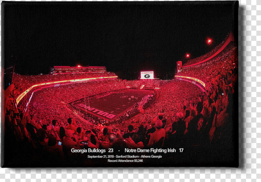 Sanford Red Lights Georgia Vs   Sanford Stadium  HD Png DownloadTransparent PNG