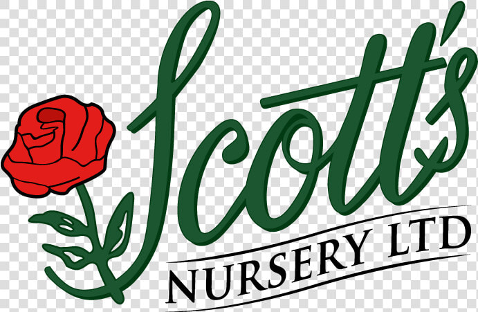 Scott S Nursery   Scott  39 s Nursery  HD Png DownloadTransparent PNG