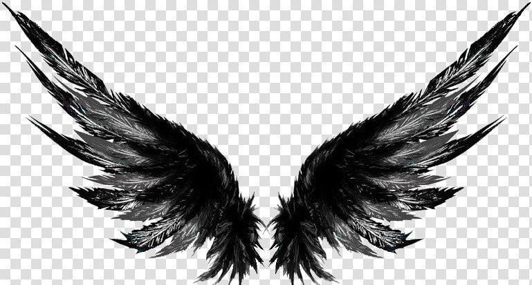 Wandering Wings Festival Band   Picsart Wings Png Hd  Transparent PngTransparent PNG