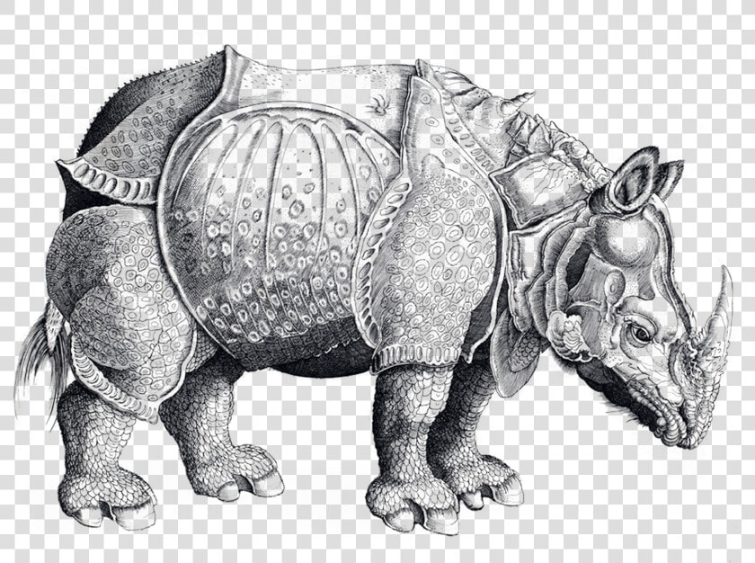 Rhinoceros  HD Png DownloadTransparent PNG