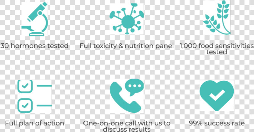 Full Scan Icons   Graphic Design  HD Png DownloadTransparent PNG