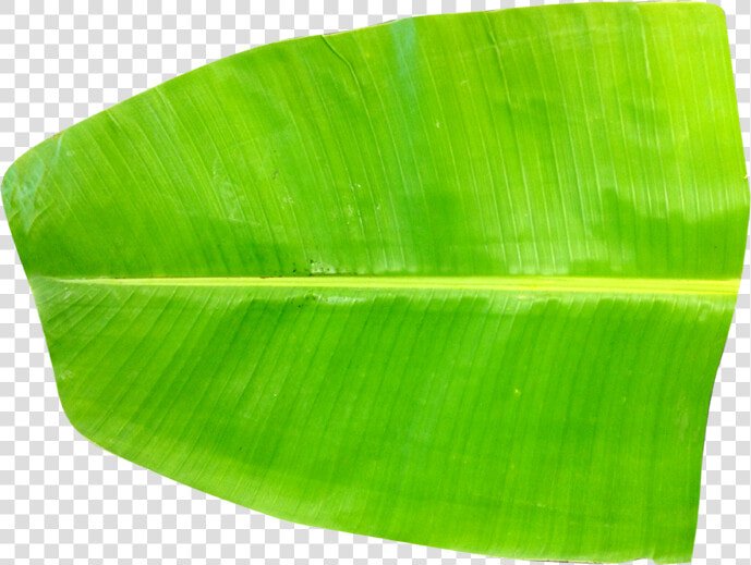 Thumb Image   Banana Leaf Images Hd  HD Png DownloadTransparent PNG
