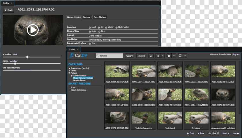 Tools Media Organization Premiere Pro  HD Png DownloadTransparent PNG