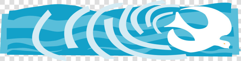 Baptism  HD Png DownloadTransparent PNG