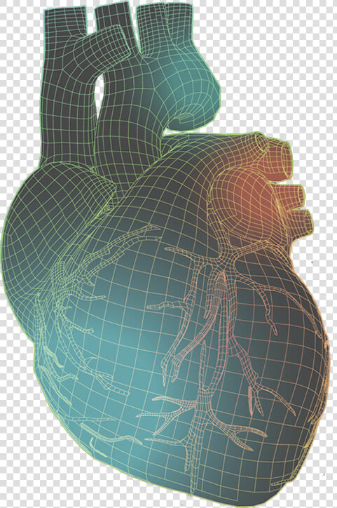 Human Heart With Colorful Wireframe Illustration   Pottery  HD Png DownloadTransparent PNG