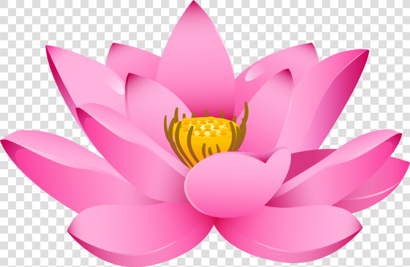 Lotus Flower Png   Lotus Png Hd  Transparent PngTransparent PNG
