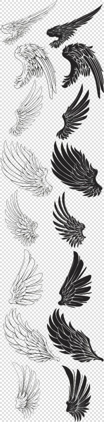 Eagle Feather Drawing Wings Brush Free Transparent   Eagle Wings Drawing  HD Png DownloadTransparent PNG