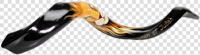 Lion Of Jude Shofar   Chain  HD Png DownloadTransparent PNG