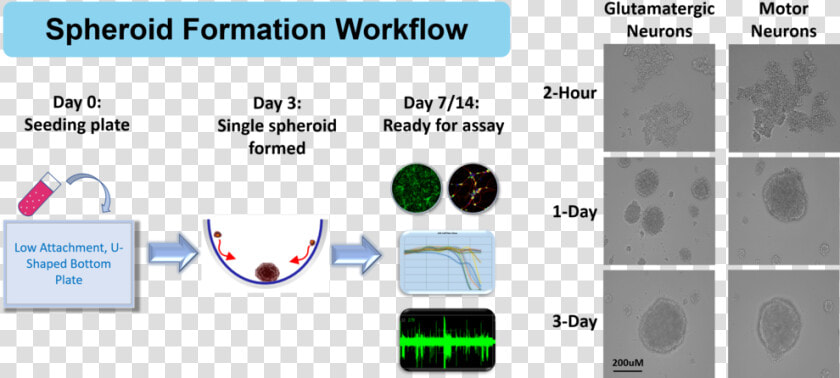 3d Example  HD Png DownloadTransparent PNG