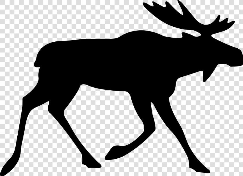 Collection Of Free Elk Vector Line Art   Elk Free Vector  HD Png DownloadTransparent PNG