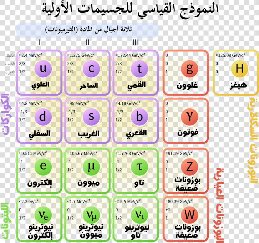 Standard Model Of Elementary Particles Ar   Standard Model Of Elementary Particle  HD Png DownloadTransparent PNG