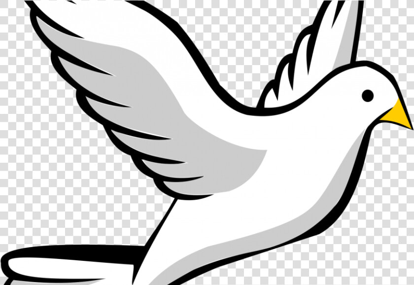 Holy Spirit Dove Png Clipart   Png Download   Bird Drawing  Transparent PngTransparent PNG