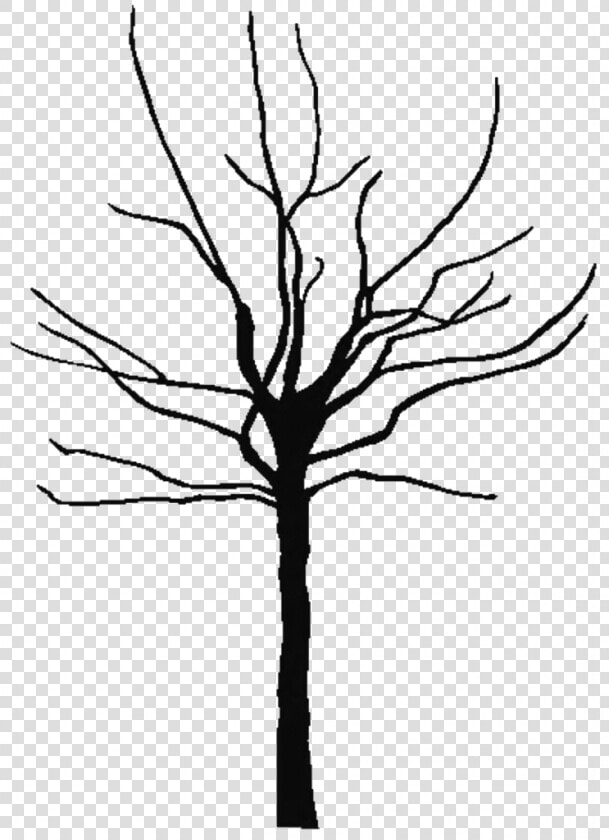 Leafless Tree Coloring Page   Tree Trunk Silhouette Png  Transparent PngTransparent PNG