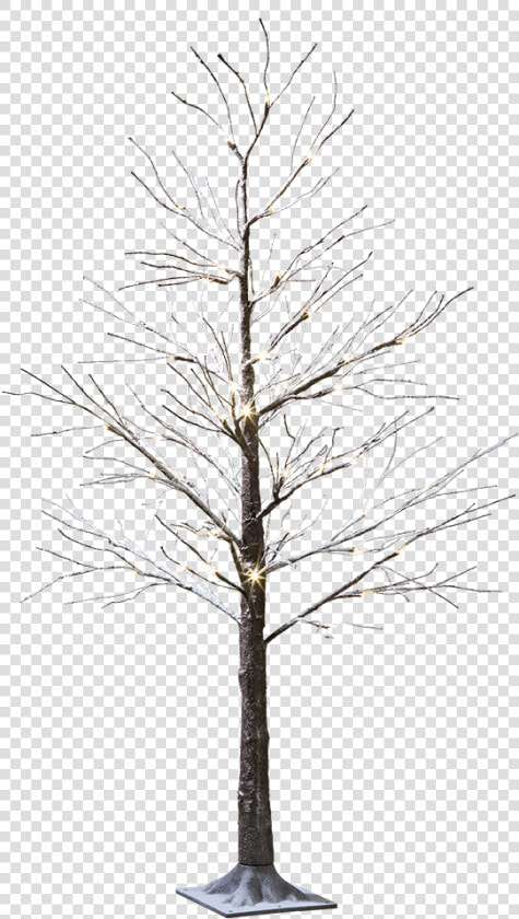 Led tree Snowy   Led Tree Png  Transparent PngTransparent PNG