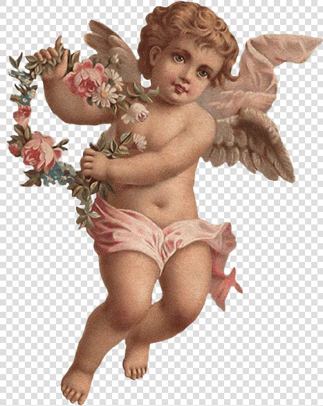  angel  roses  angels  aesthetic   Victorian Angels  HD Png DownloadTransparent PNG