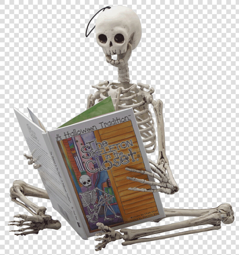 3 Foot Pose able Skeleton Doll  HD Png DownloadTransparent PNG