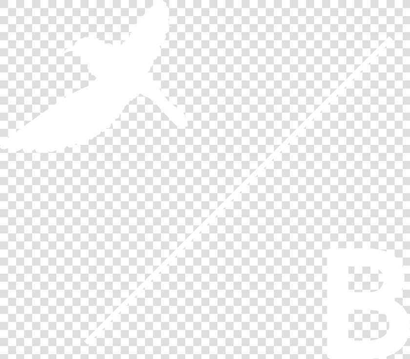 Seabird  HD Png DownloadTransparent PNG