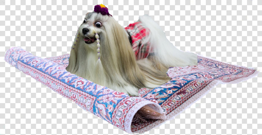 Diddy Laying On Steps  HD Png DownloadTransparent PNG