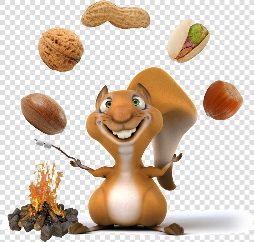 Mixed Nuts   Cookout  HD Png DownloadTransparent PNG