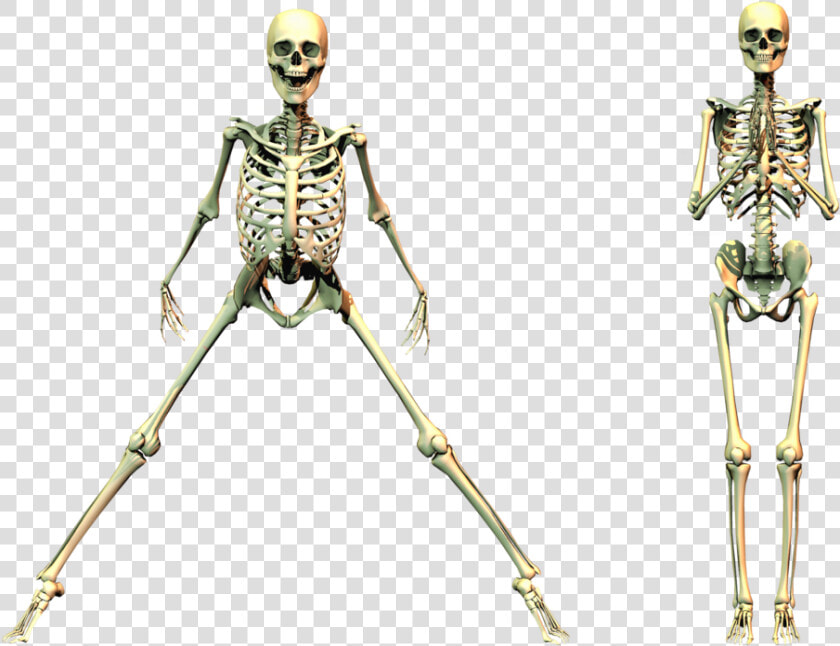 Spooky Skeleton Png   Spooky Skeleton Transparent Background  Png DownloadTransparent PNG