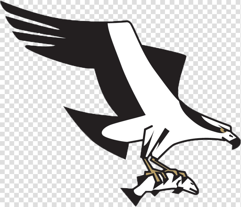 Missoula Osprey Logo  HD Png DownloadTransparent PNG