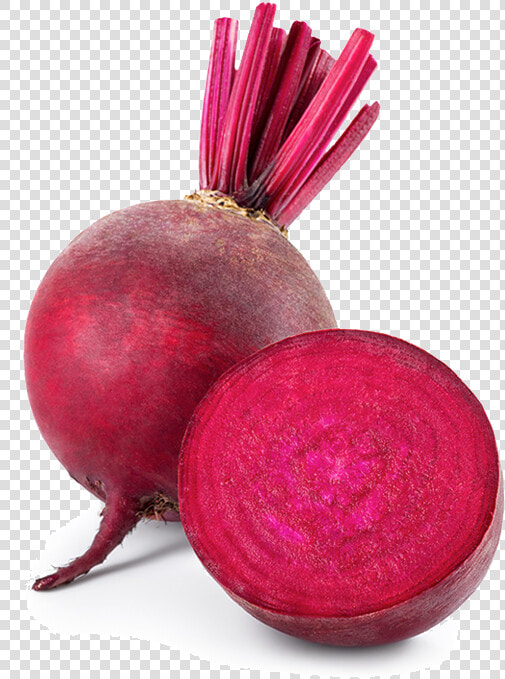 Beet Png  Transparent PngTransparent PNG