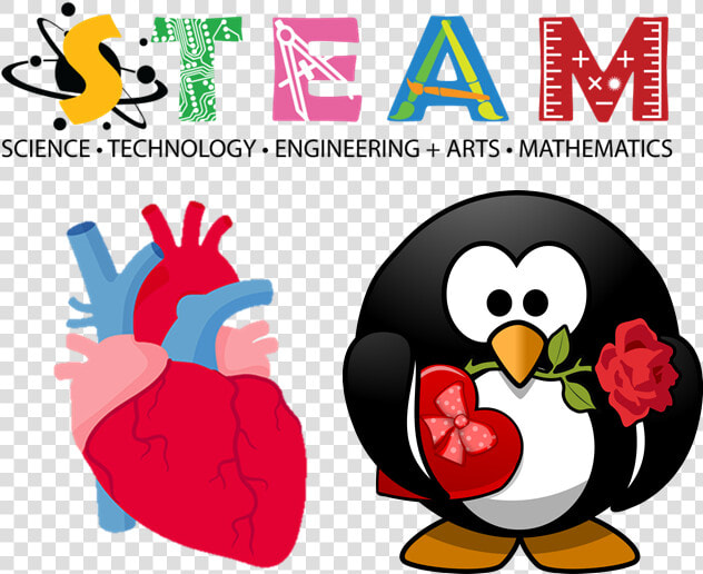 Image Of Steam Graphic With An Image Of An Anatomical  HD Png DownloadTransparent PNG