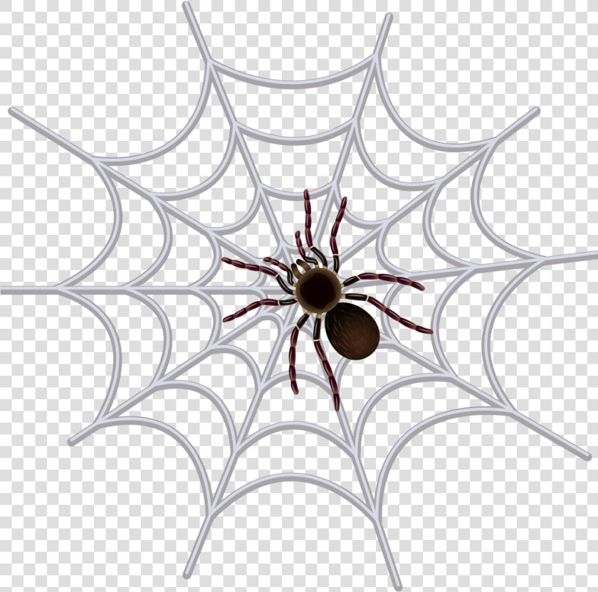 Transparent Png Spider Web Clipart   Png Download   Spider Web Images Black And White  Png DownloadTransparent PNG